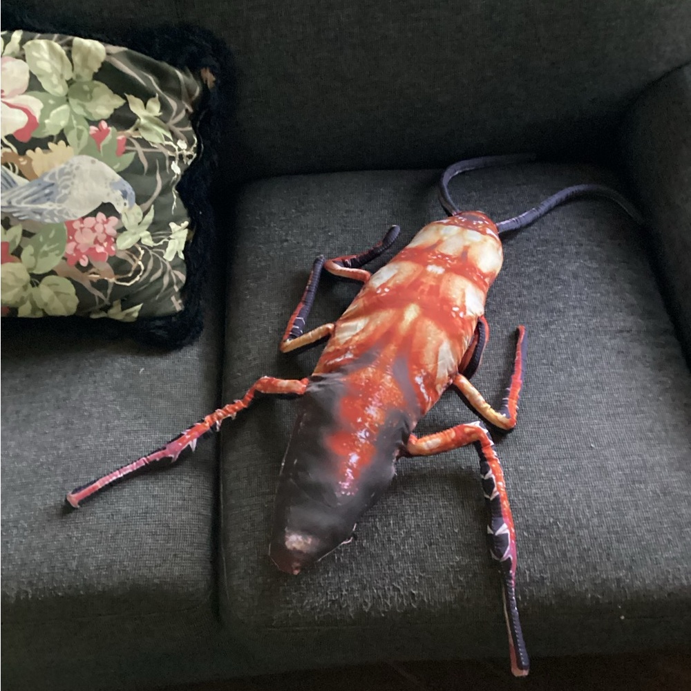 Roach pillow accent